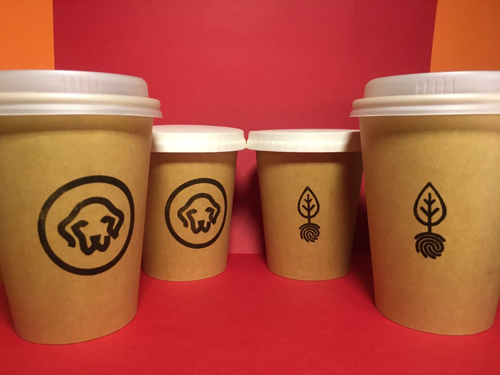 Paper Cups - Without plastic lining