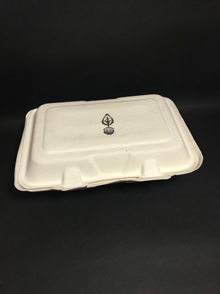 Bagasse Food Box
