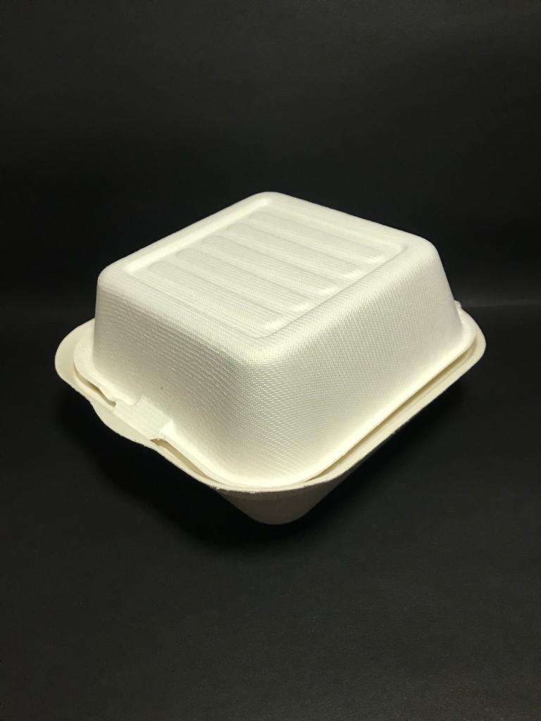 Bagasse Food Box