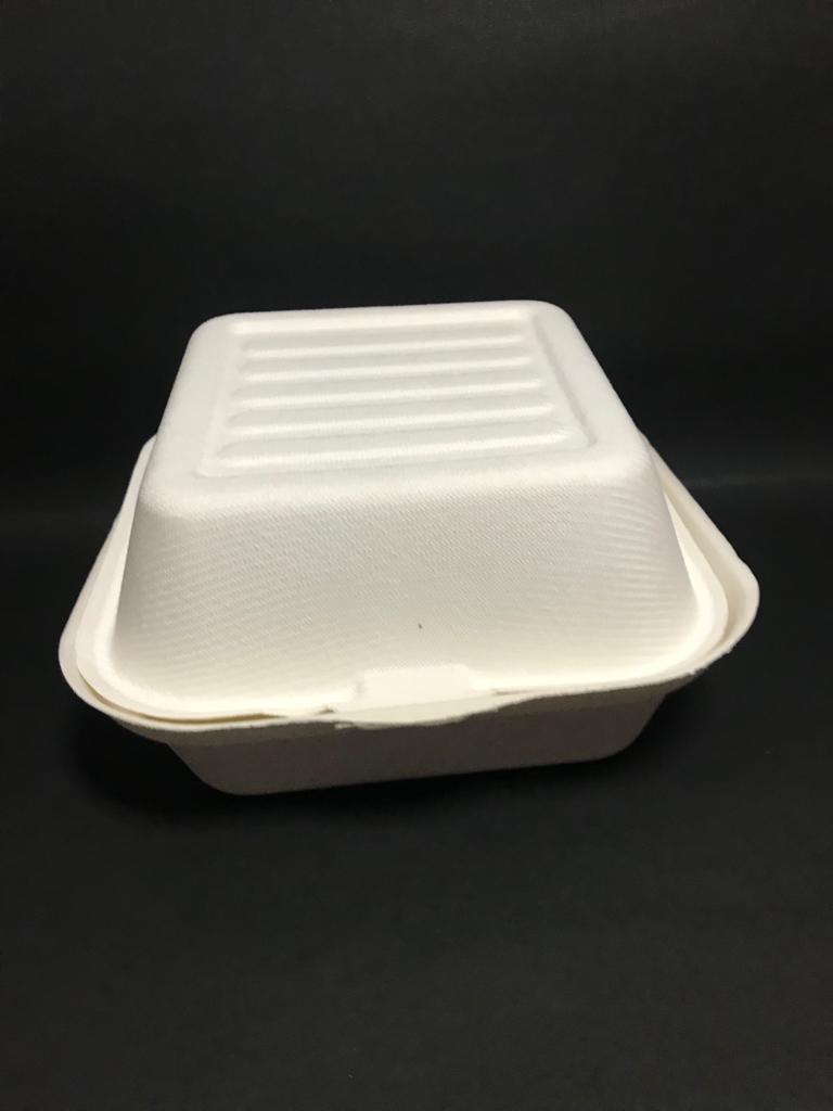 Bagasse Food Box