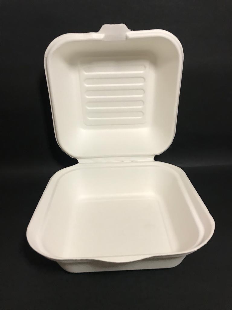 Bagasse Food Box
